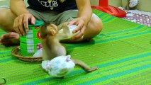 DSCN1609= Baby ALDO & Baby CLARE Drinking Milk