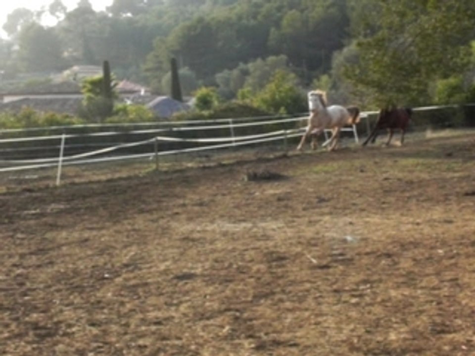 Maily et Denver font les fous