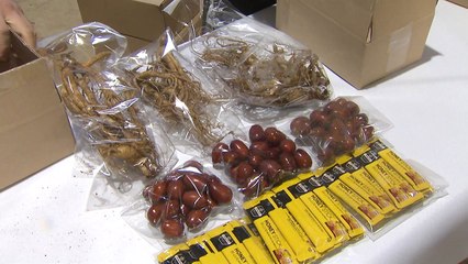 청년 농업인, 직접 재배한 농산물로 '이웃 사랑' / YTN