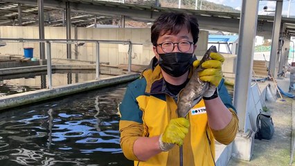 '위드 코로나' 시행 앞두고 겨울축제도 기지개 / YTN