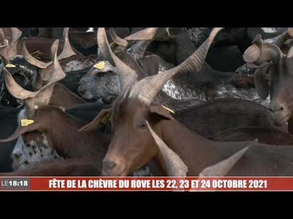 FÊTE DE LA CHÈVRE DU ROVE LES 22, 23 ET 24 OCTOBRE 2021