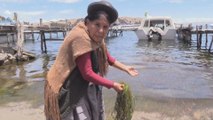 Mujeres indígenas de Bolivia se unen para preservar el Titicaca