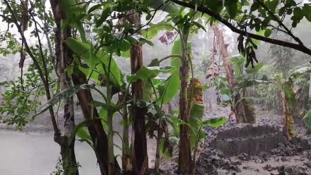Sonido de la LLuvia Intensa sin Truenos Relajante para Dormir