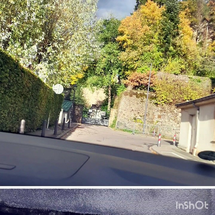 Park Mansburg* Herbstliebe*Corona Tag 584