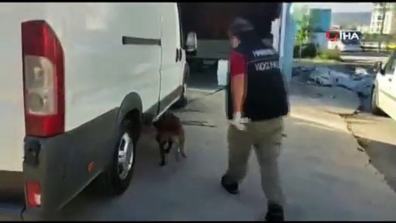 Balık yüklü araçta 53 kilo skunk esrar ele geçirildi