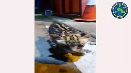 ext-manigordo-231021