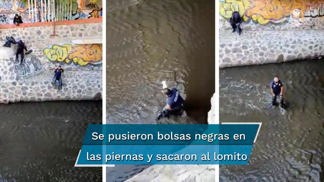 Policía se mete a aguas negras para rescatar a perrito atrapado en Querétaro