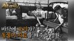 [HOT] Animal therapy for children in the 1950s., 신비한TV 서프라이즈 211024
