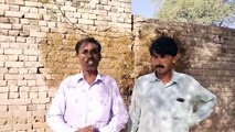 watch nili Ravi buffalo for sale 22-10-2021 in Punjab Pakistan on dailymotion