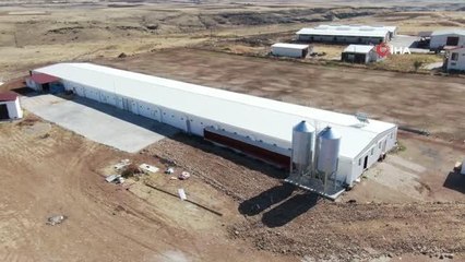 'Hayal bile edemezdik' diyen muhtar, TKDK'dan aldığı destek ile köyünü tavuk ve besi çiftliğine döndürdü