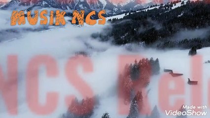 Cartoon -Why We Lose (feat.Coleman Trapp)(NCS Release)