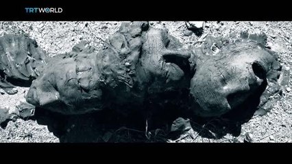 TRT World, Kıbrıslı Türklerin hayatta kalma mücadelesini dünyaya anlatacak