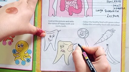 1001 Activities book Classes For Kids part 3