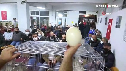 Bu yumurtayı almak için birbirleriyle yarıştılar: Kırıp tadına bakacağım