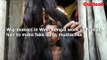 Wig-makers in West Bengal work on human hair to make fake buns, mustaches