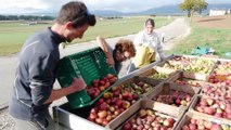 Svizzera, l'iniziativa di Sos Fruit contro lo spreco alimentare