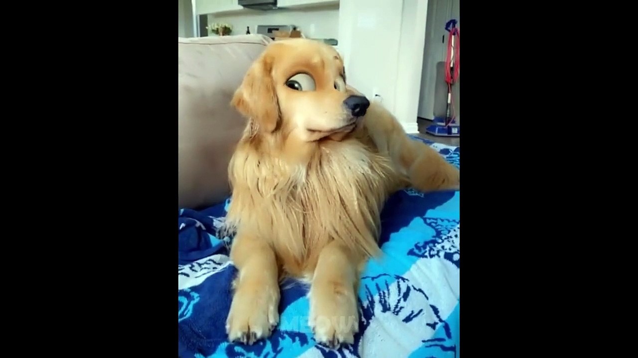 These Pets Will Cheer up Your Day And Make it 100% Better 
