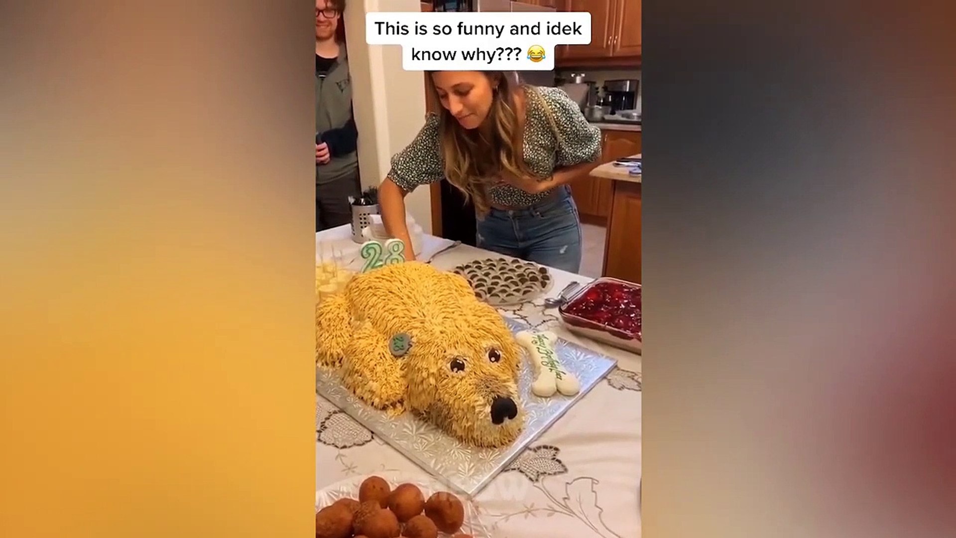 Dog Reaction to Dog Cake - Funny Dog Reaction