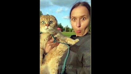 Funny Pranks On Pets - TRY NOT TO LAUGH