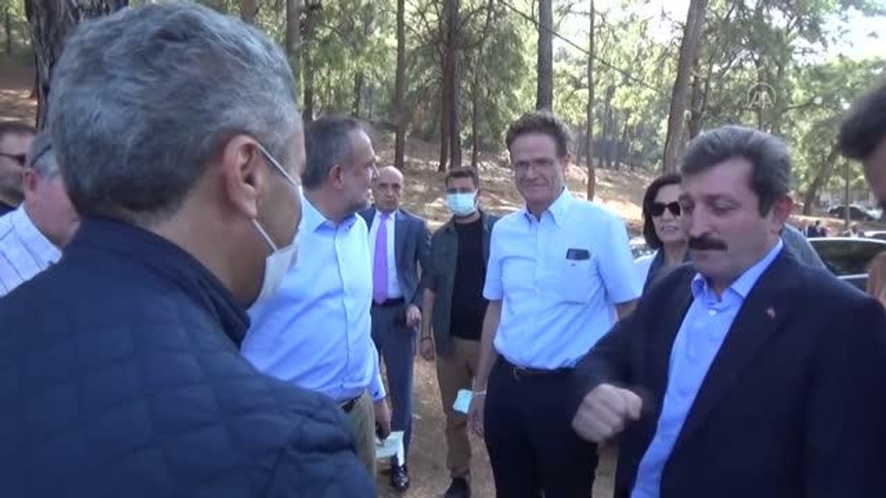 Küresel ısınma yüzünden caretta carettaların gü...