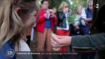 Morhiban : les landes de Lanvaux, la beauté sauvage des forêts bretonnes