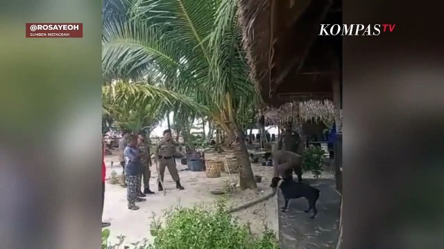 Canon, Anjing di Aceh yang Tewas Usai Ditangkap Petugas