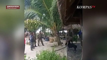 Canon, Anjing di Aceh yang Tewas Usai Ditangkap Petugas