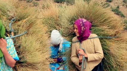 MAROC-CULTURE ET TRADITIONS AMAZIGHES المغرب- عادات و تقاليد امازيغية