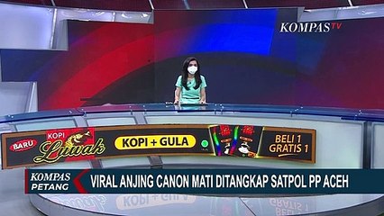 Anjing Canon Mati Usai Ditangkap, Satpol PP Aceh Jadi Sorotan