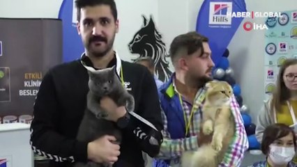 Sosyal medya fenomeni Prenses, görenleri büyüledi