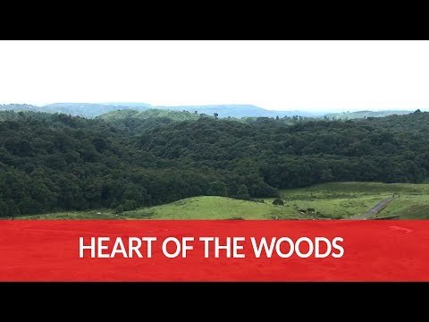 Meghalaya’s rich forests are role-models for community-based conservation efforts