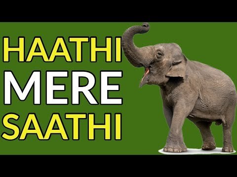 Tenzing Bodosa's tea plantation in Assam welcomes elephants