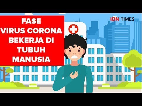 8 TAHAP VIRUS CORONA BEKERJA DI TUBUH MANUSIA!