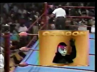 Octagon vs. Ferza Guerrera