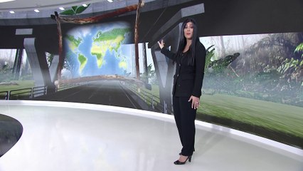 معلومات وأرقام حول مبادرة محمد بن سلمان لزراعة 10 مليار شجرة