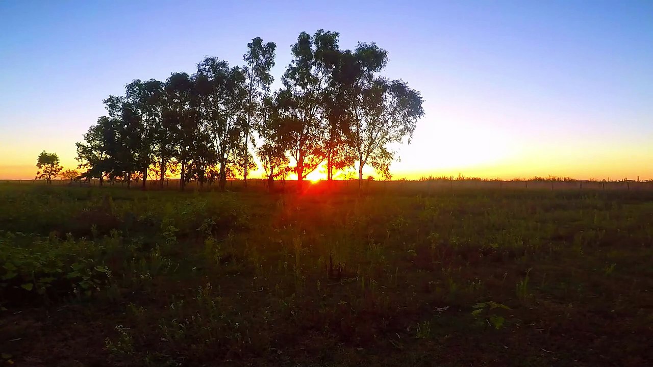 Atardecer en el campo - Sonidos de la Naturaleza | Matías HD