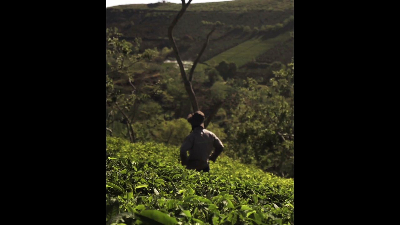 Video Hp Mobile