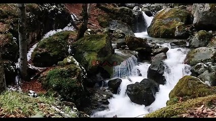 Instrumen Musik Bali - RATU ANOM Relaxation Traditional Music