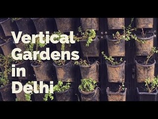 Vertical Gardens in Delhi