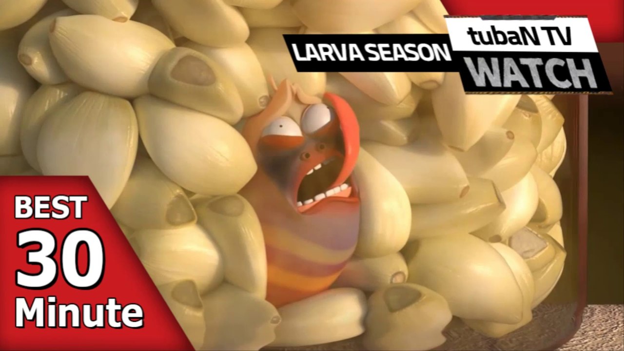 RANDOM PLAY I Watch 30 minutes a day!! I Ep.141 I Larva Cartoon I Larva Official Channel  I part.2