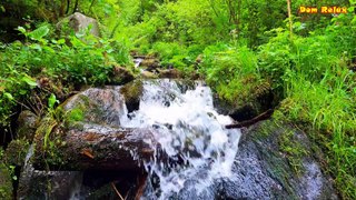 Sound Of Waterfall- Relaxing Meditation- Sleep or Focus- White Noise Stream - Babbling Brook Sounds