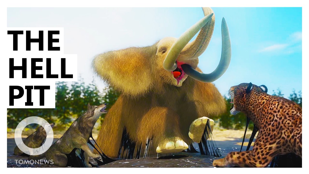 Scientists Find How Dire Wolves and Saber-Tooth Cats Hunted