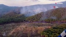 Son dakika! Balıkesir'in Edremit ilçesinde orman yangını