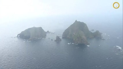 독도 우리 식물, 세계에 알리다…25일 ‘독도의 날’ 맞아 GBIF 등재