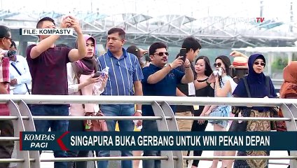 Singapura Buka Pintu untuk WNI Pekan Depan, Cek Syaratnya!