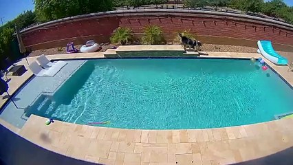 35 Momentos Impresionantes Capturados por las Cámaras de Videovigilancia