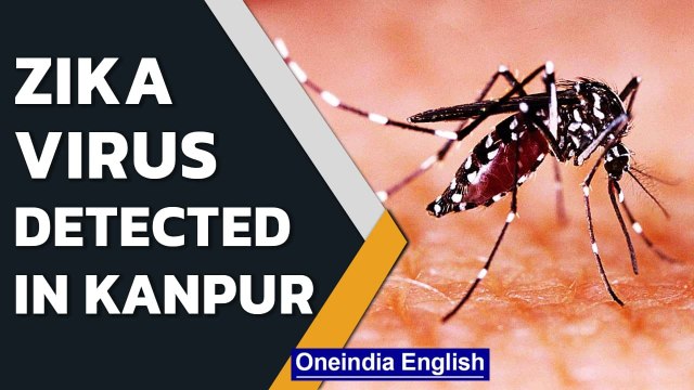Zika Virus detected in Kanpur, first case in Uttar Pradesh | Oneindia News