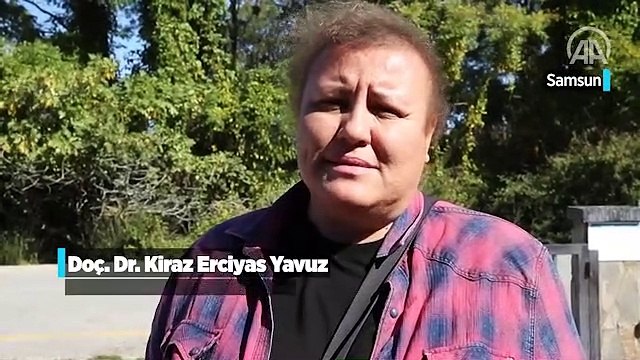 Kızılırmak Deltası'nda yanan alanlar 1 yılda doğal yapısına kavuştu