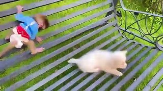 Baby_monkey_Bon_Bon_go_to_the_toilet_and_playing_with_the_puppy_So_cute(480p)
