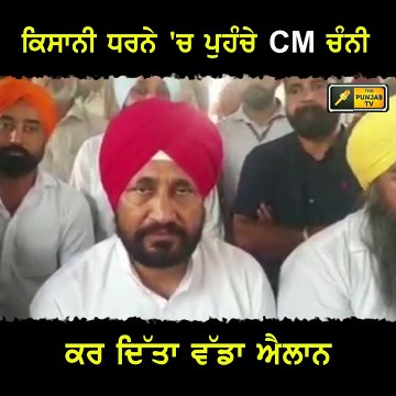 ਮੁੱਖ ਮੰਤਰੀ ਚਰਨਜੀਤ ਸਿੰਘ ਚੰਨੀ ਦਾ ਵੱਡਾ ਐਲਾਨ CM Channi big announcement for farmers | The Punjab TV